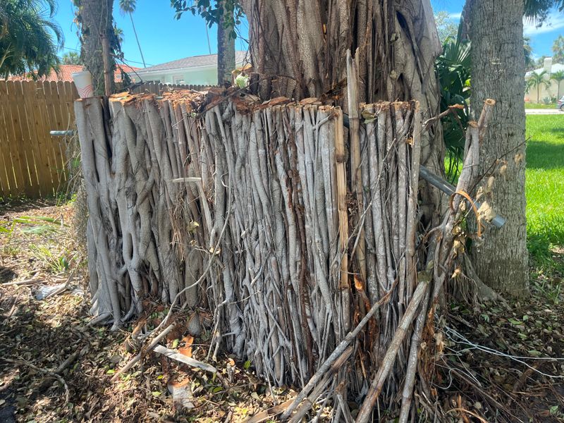 Stump Removal
