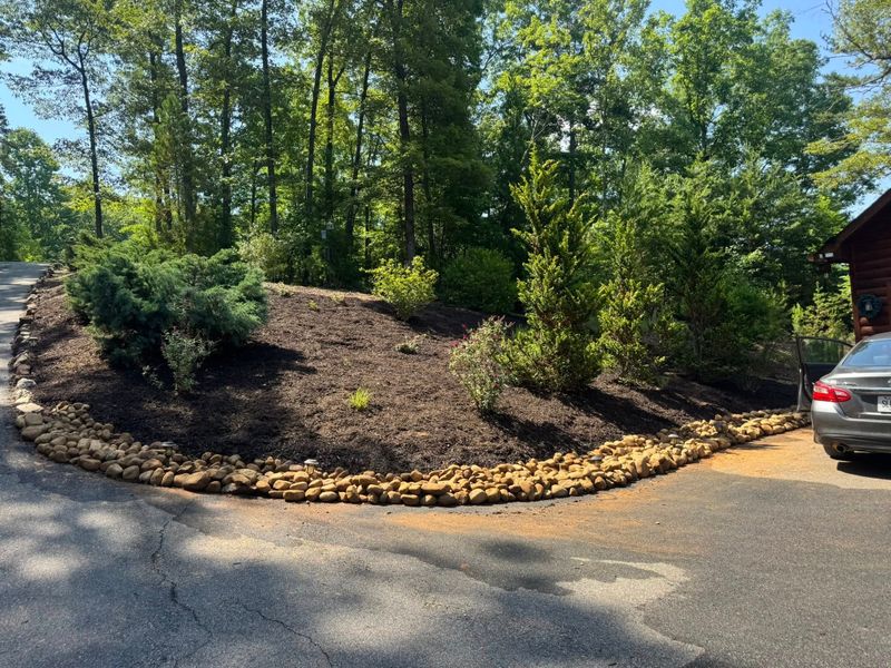 Landscape Design & Installation