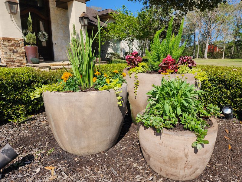Landscaping