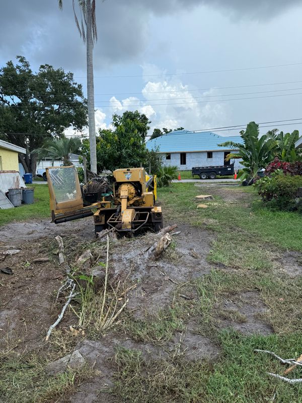 Mulch Installation