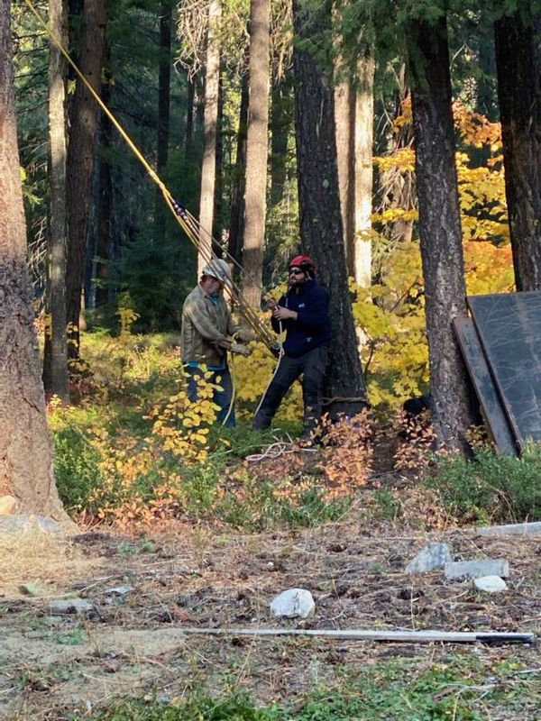 Tree Trimming and Removal
