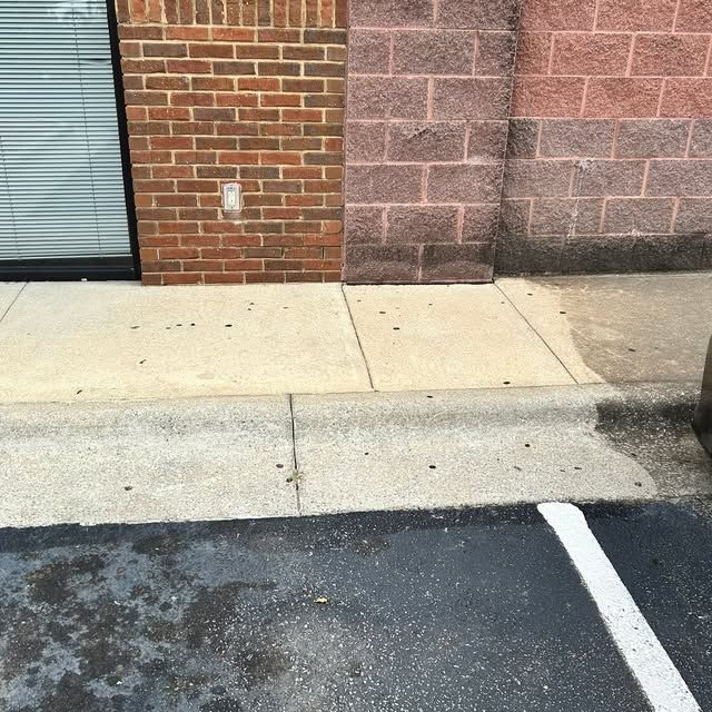 Driveway and Sidewalk Cleaning