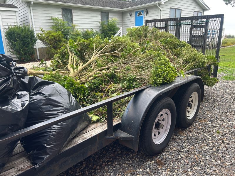 Spring & Fall Cleanup