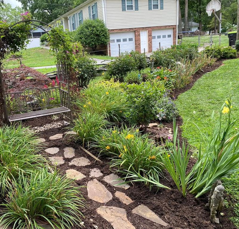 Landscape Design & Installation