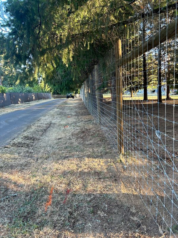 Concrete Flatwork