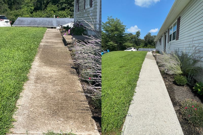 Driveway and Sidewalk Cleaning