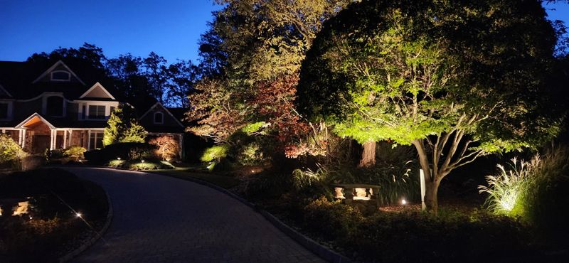 Landscape Lighting