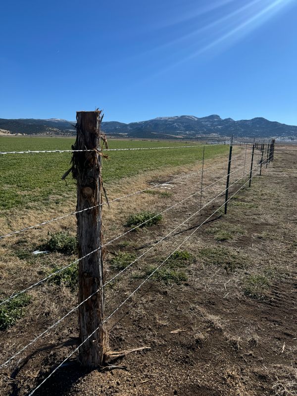 Fences