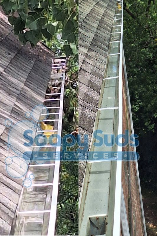 Gutter Cleaning