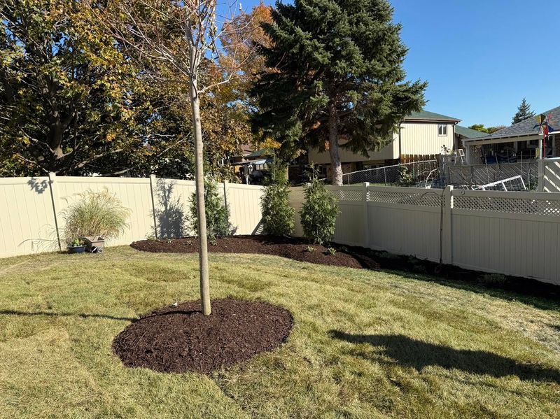 Tree and Shrub Care