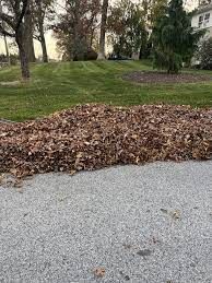 Fall and Spring Clean Up