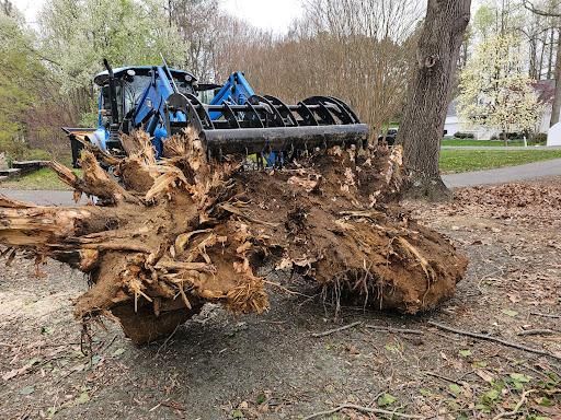 Stump Removal