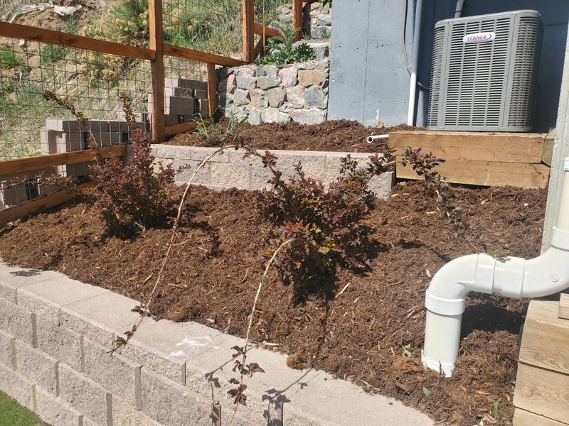 Mulch Installation