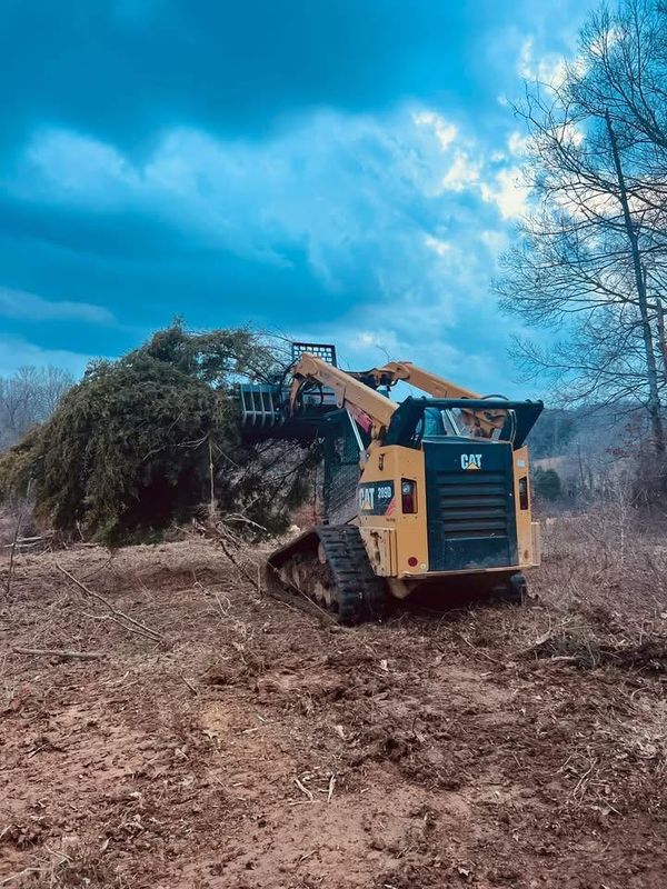 Forestry Mulching