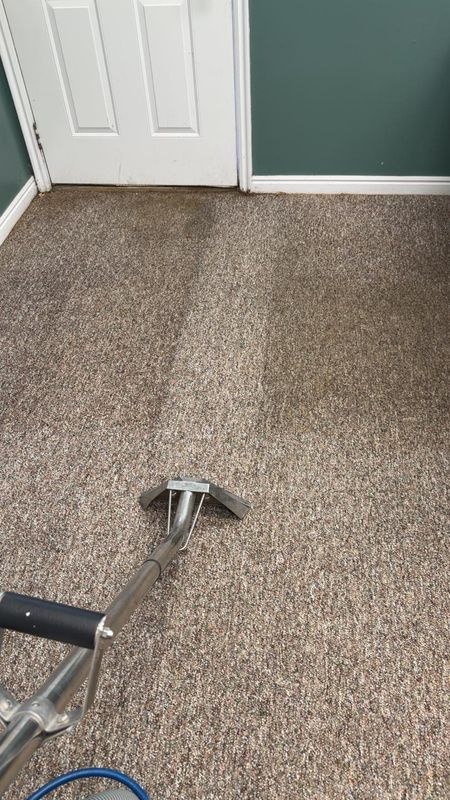 Carpet Cleaning