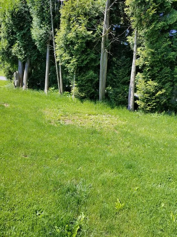 Lawn Care