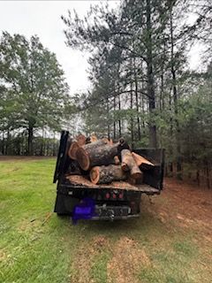 Tree Removal