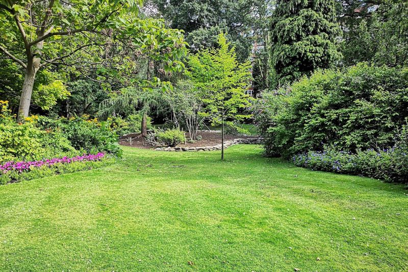 Lawn Aeration