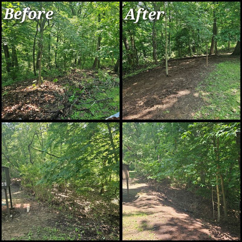 Fall and Spring Clean Up