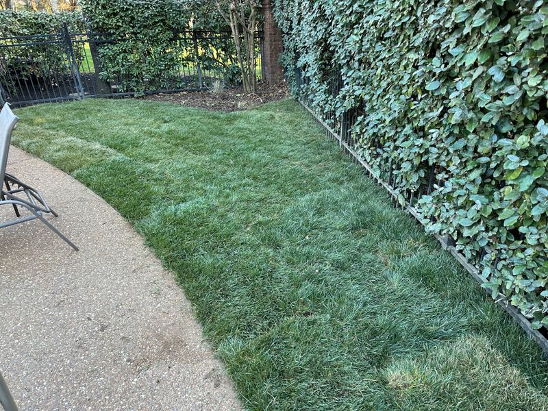 Landscaping