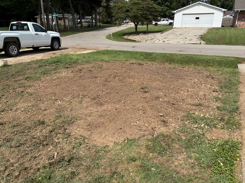 Stump Removal