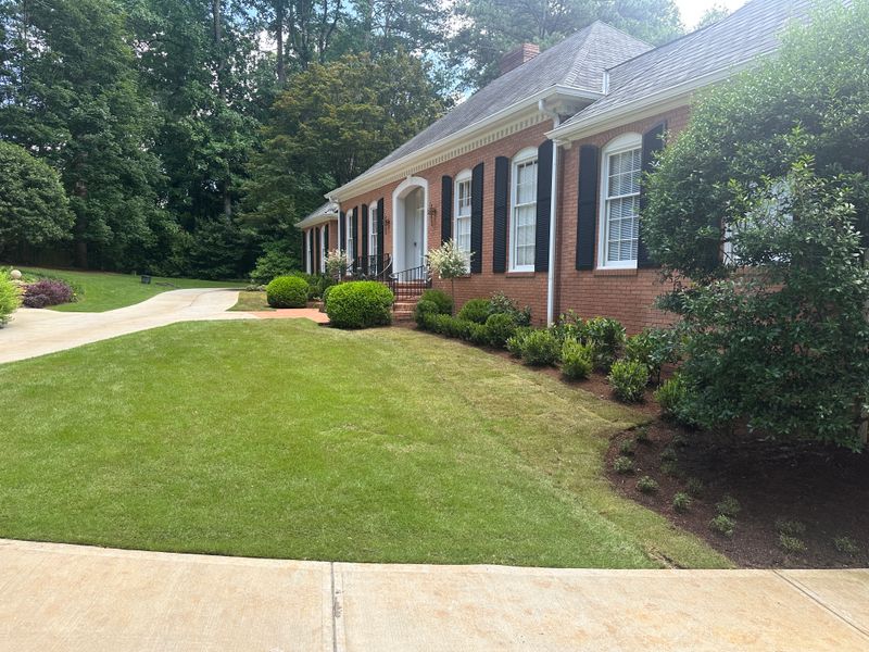 Lawn Care & Maintenance