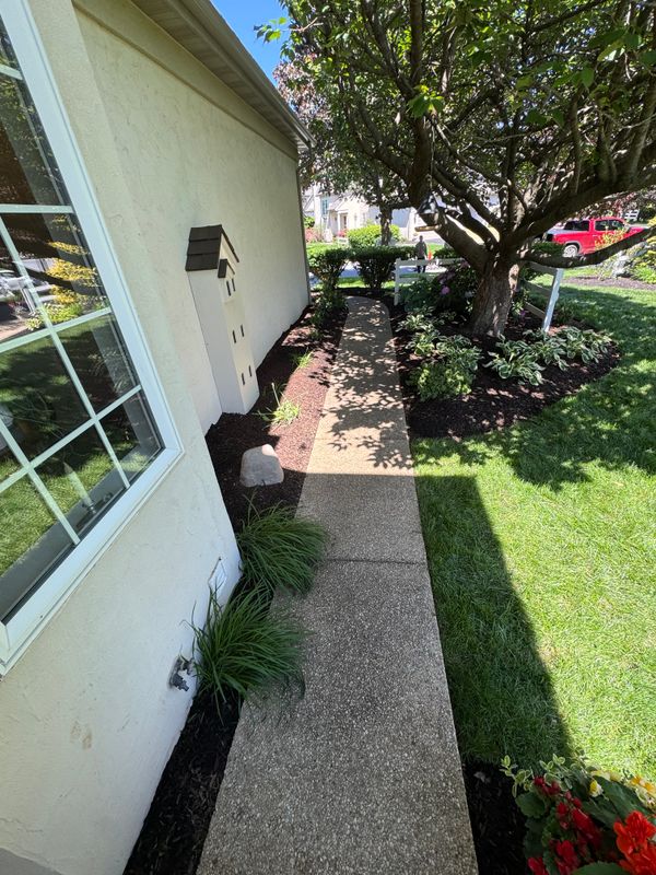Landscaping