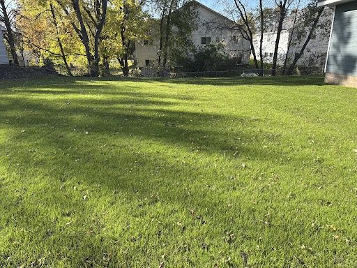 Hydroseeding