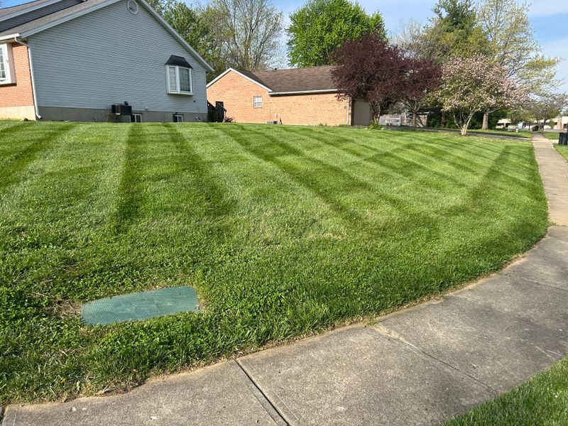 Transforming Outdoor Living Spaces with Precision Mowing