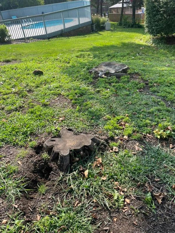 Stump Removal