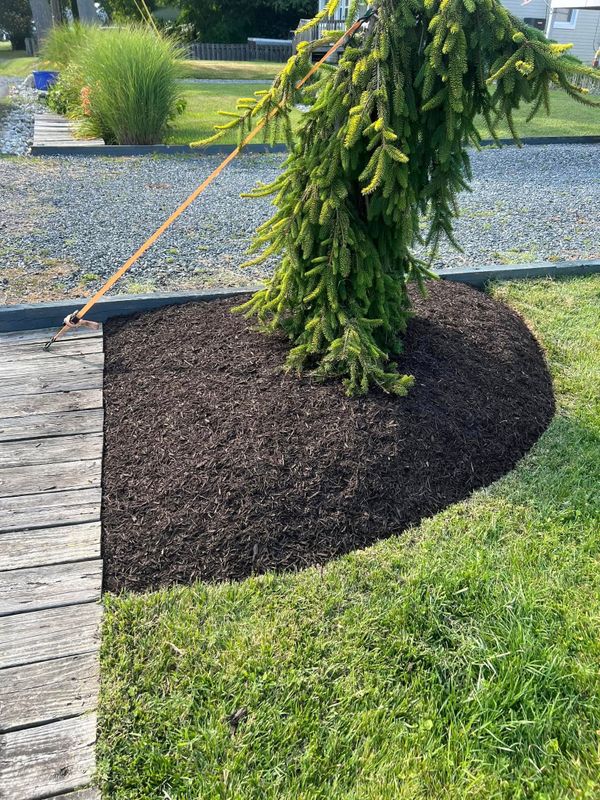 Landscape Design