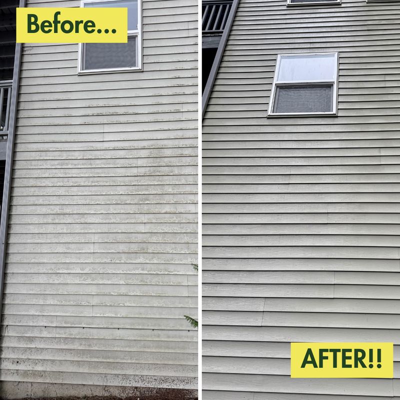 Before & After Photos