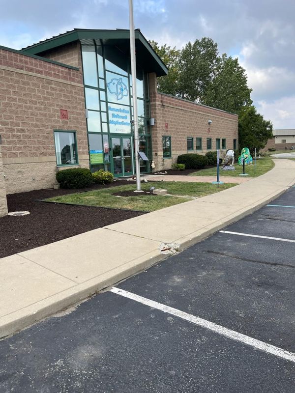 Landscaping