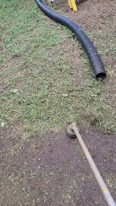 Lawn Mowing