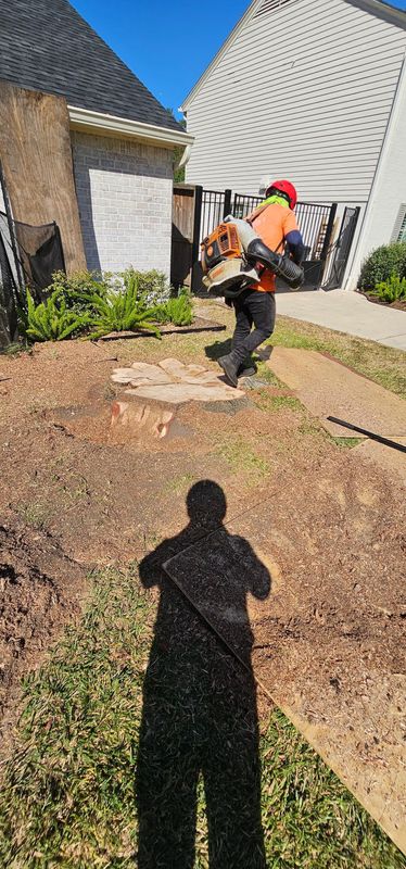 Tree Removal