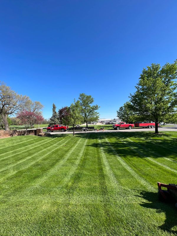 Landscaping