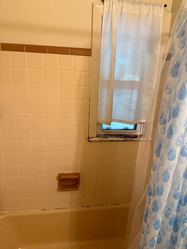 Bathroom Renovations