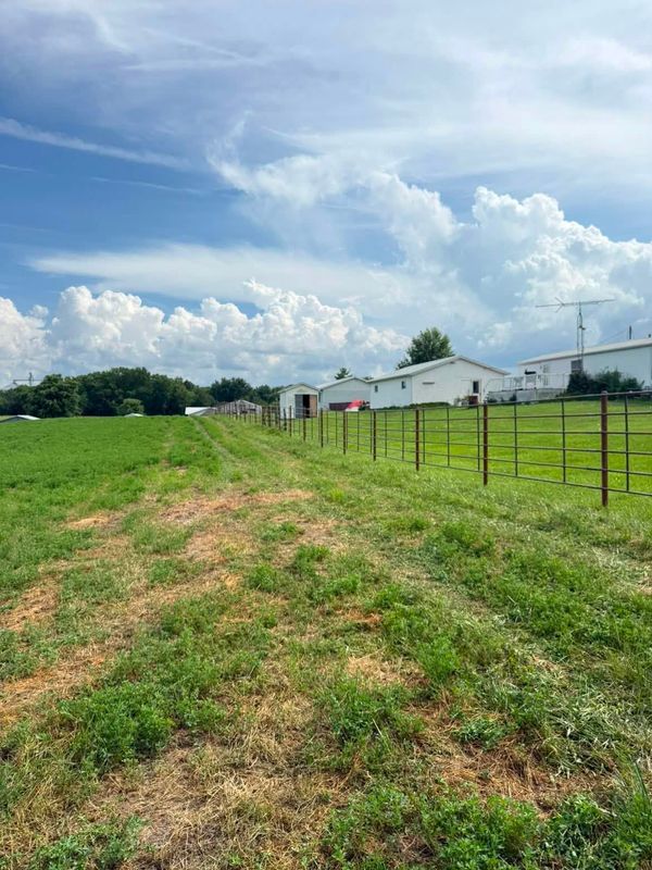 Agriculture Fencing