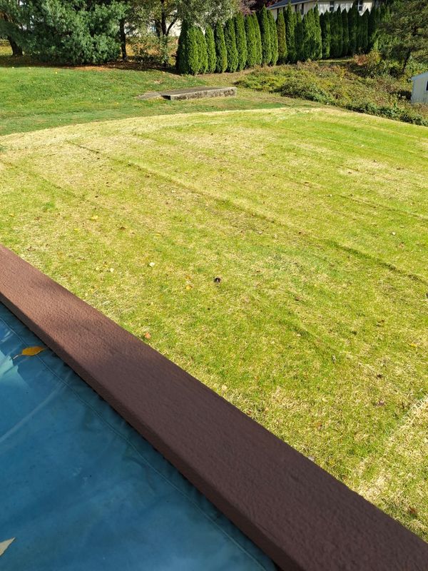 Garden Maintenance