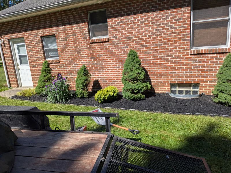 Tree & Shrub Care