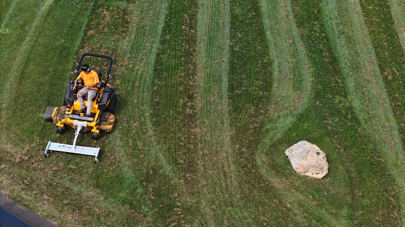 Lawn & Turf Maintenance