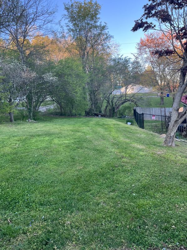 Lawn Maintenance