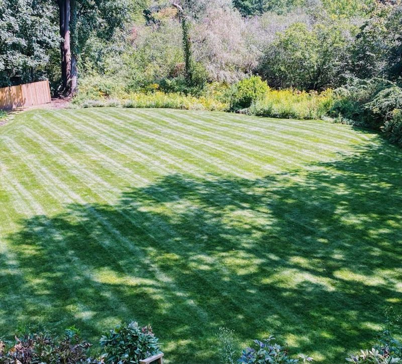 Lawn Maintenance