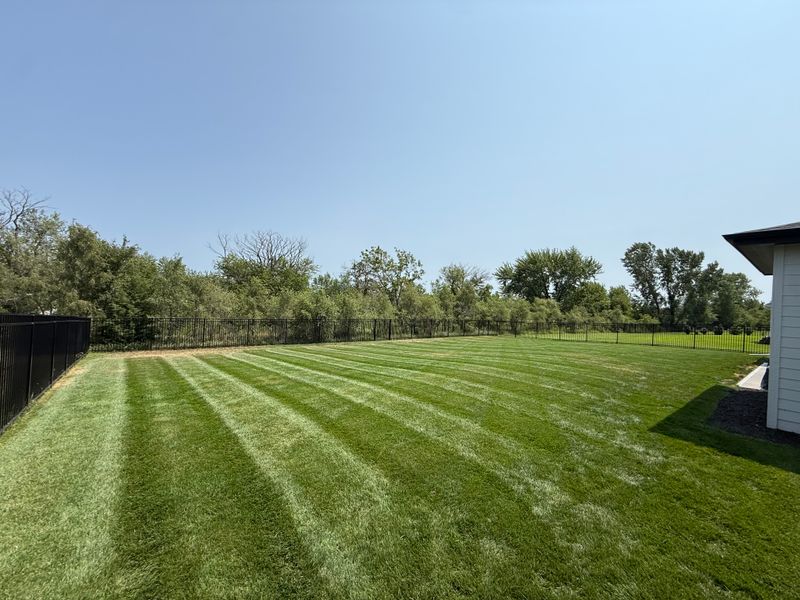 Lawn Maintenance