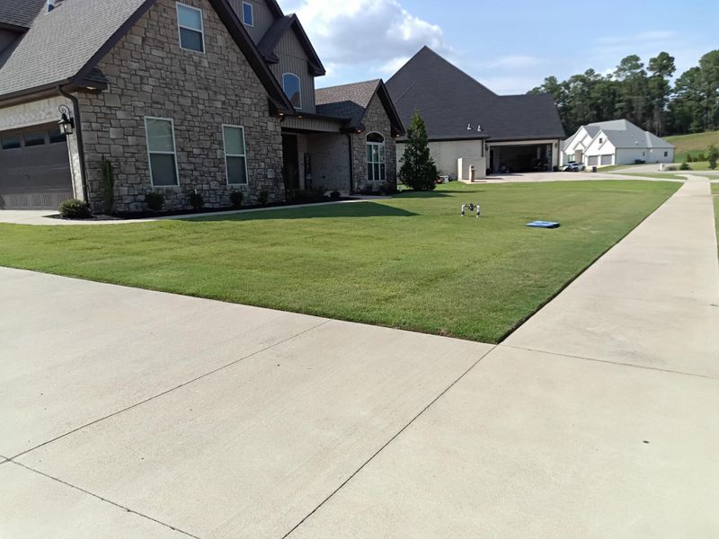 Landscape And Design