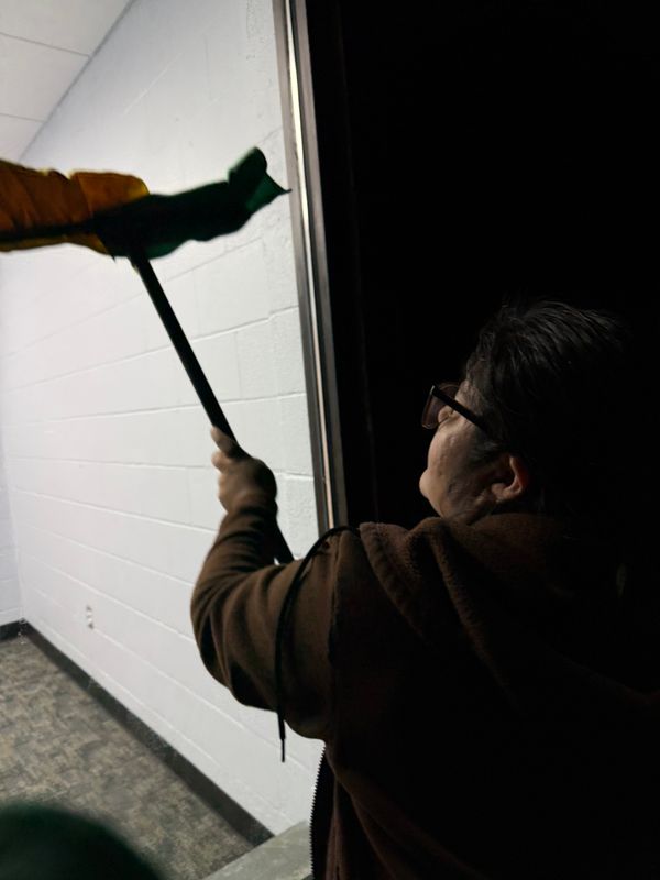 Window Cleaning