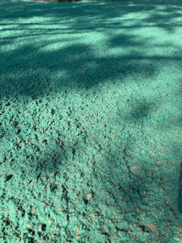 Hydroseeding
