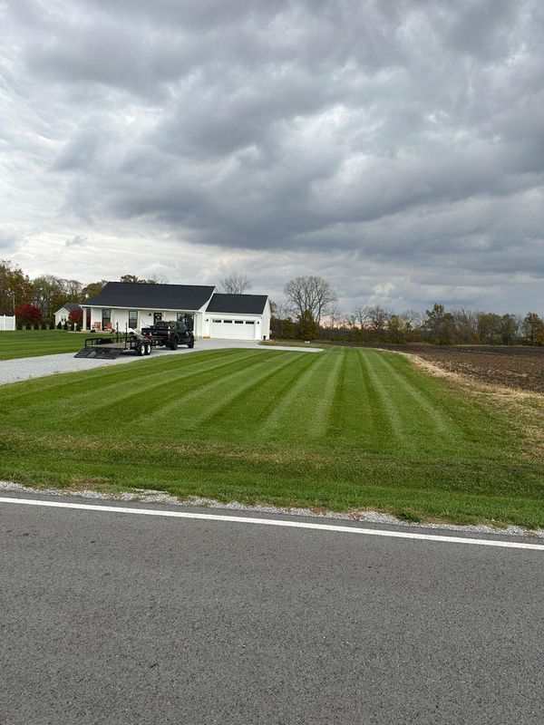 Landscape design