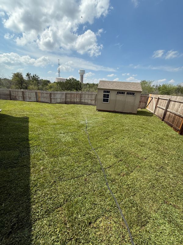 Lawn Aeration