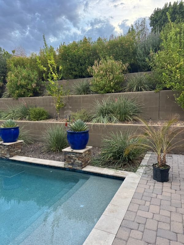 Seasonal Yard Cleanup